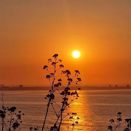 Deluxe 2 Bedroom With Bbq Apartment