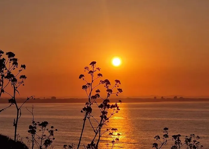 Deluxe 2 Bedroom With Bbq Lägenhet